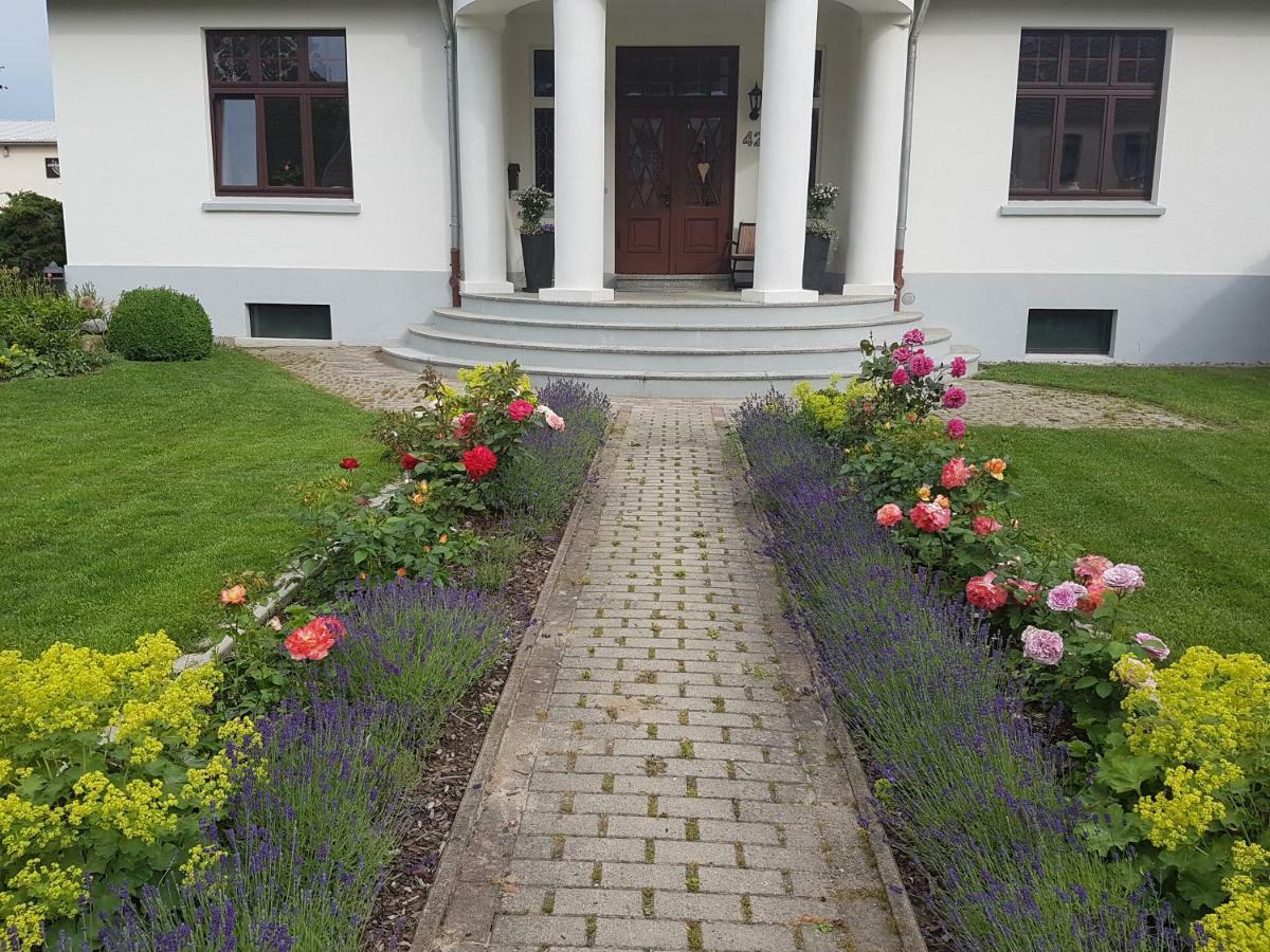 Moltke-Villa Teterow Buitenkant foto